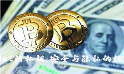 TPWallet的私钥：安全与隐私的数字护航