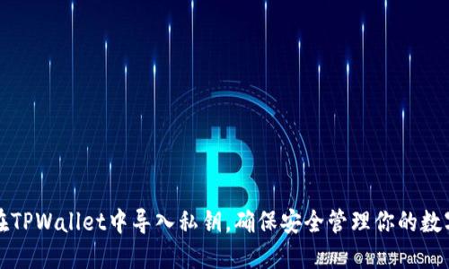如何在TPWallet中导入私钥，确保安全管理你的数字资产