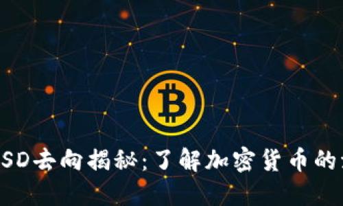 TPWallet闪兑的USD去向揭秘：了解加密货币的流动性与交易动态