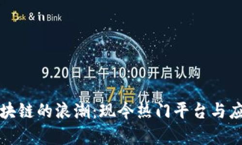 探索区块链的浪潮：现今热门平台与应用解析