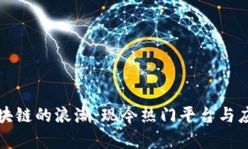 探索区块链的浪潮：现今热门平台与应用解析