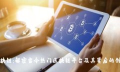 探索区块链：解密当今热门区块链平台及其背后