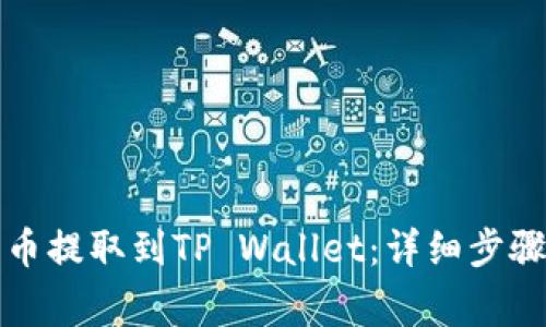 如何将支点币提取到TP Wallet：详细步骤及注意事项