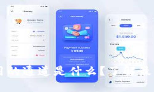 TPWallet使用的通道是什么？了解最新技术和功能