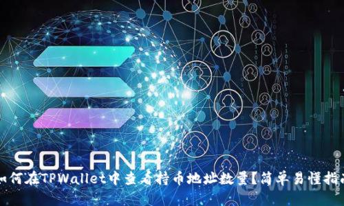 如何在TPWallet中查看持币地址数量？简单易懂指南