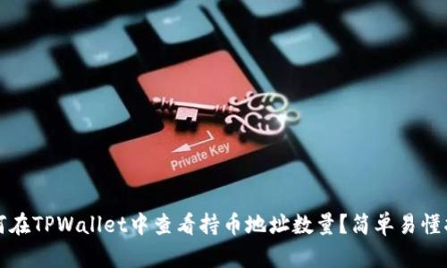 如何在TPWallet中查看持币地址数量？简单易懂指南
