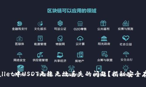 如何解决TPWallet中USDT无缘无故丢失的问题？揭秘安全存储与常见错误