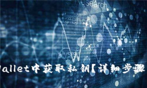 如何在TPWallet中获取私钥？详细步骤与注意事项