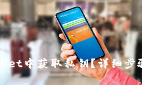 如何在TPWallet中获取私钥？详细步骤与注意事项