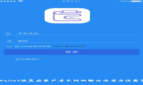 TPWallet恢复后资产看不到的解决方案与注意事项