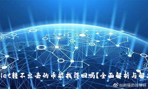 tpwallet转不出去的币能找得回吗？全面解析与解决方案
