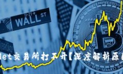 xiaotitpwallet交易所打不开？深度解析原因与解决方