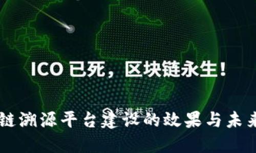 区块链溯源平台建设的效果与未来展望
