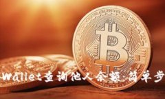 如何利用TPWallet查询他人余额：简单步骤与小技巧