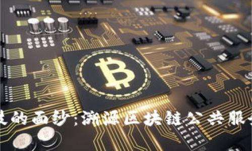 揭开未来科技的面纱：溯源区块链公共服务平台全解析