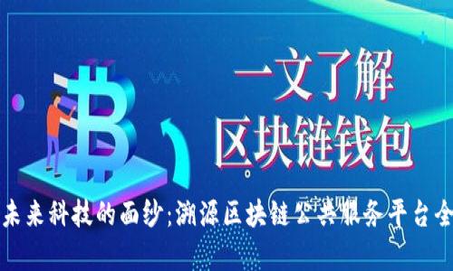 揭开未来科技的面纱：溯源区块链公共服务平台全解析
