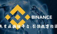 探索满天星区块链平台：引领数字经济新时代