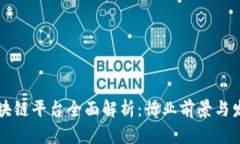 淄博区块链平台全面解析：行业前景与发展动态