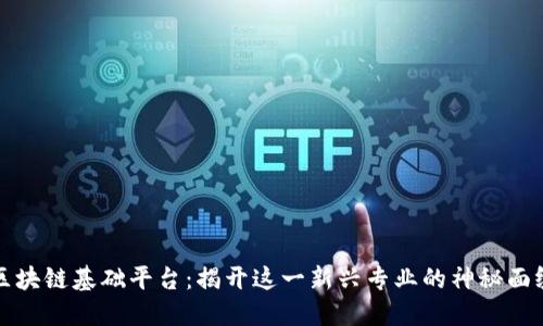 区块链基础平台：揭开这一新兴专业的神秘面纱