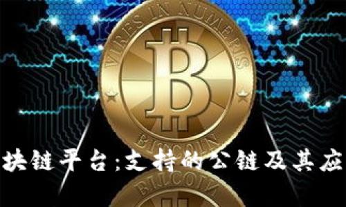 BSN区块链平台：支持的公链及其应用前景