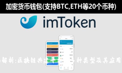 全面解析：区块链共建平台的多种类型及其应用前景