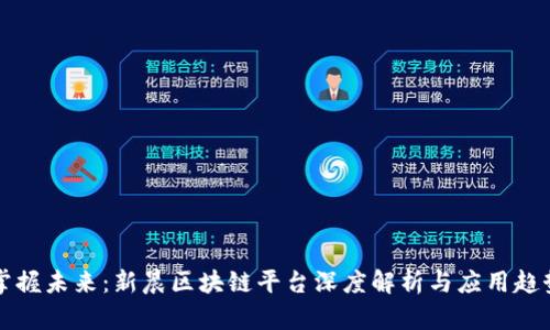掌握未来：新晨区块链平台深度解析与应用趋势