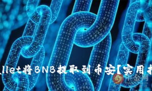 如何通过TPWallet将BNB提取到币安？实用指南与注意事项