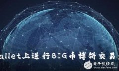 如何在TPWallet上进行BIG币博饼交易：全方位指南