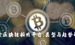 探索区块链拍照平台：类型与趋势解读