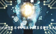 tpwallet打包过程中会丢失币吗？真实解答与风险分