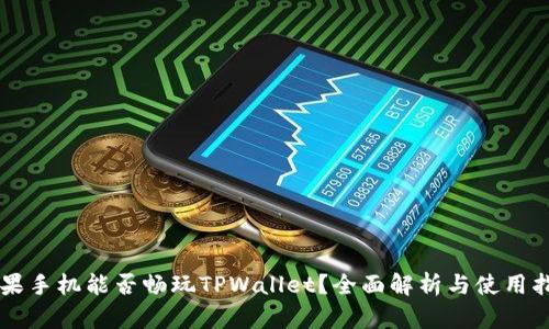 苹果手机能否畅玩TPWallet？全面解析与使用指南